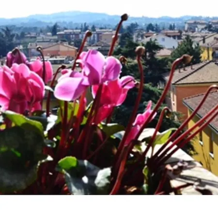 Small Luxury House Appartamento *